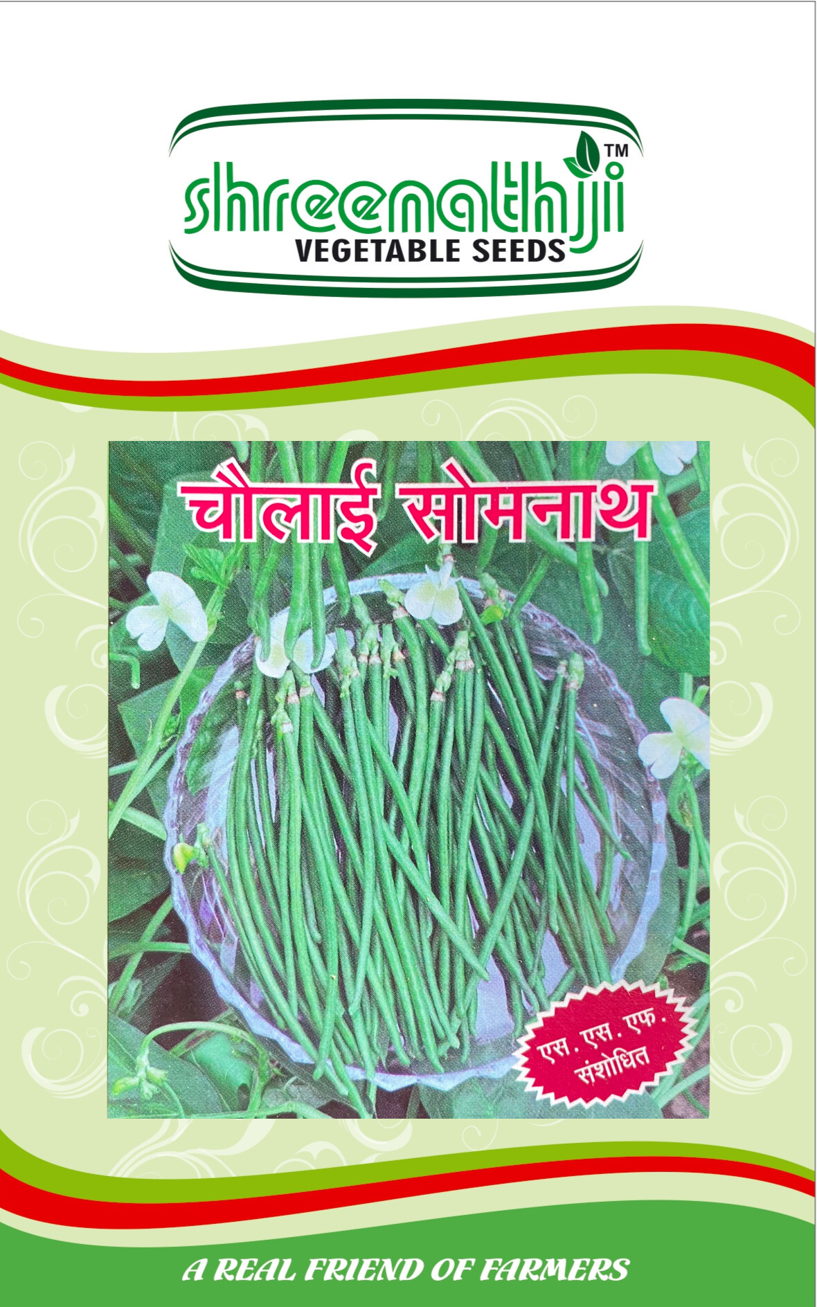 ચોલી સોમનાથ